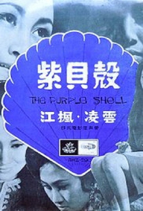 紫贝壳 封面