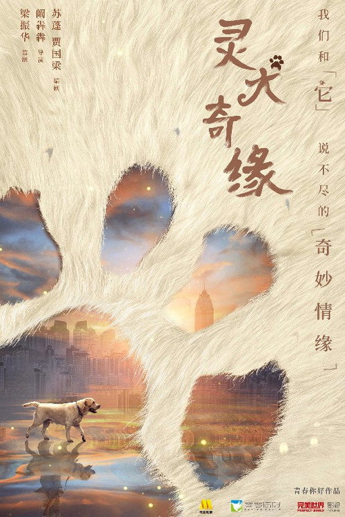 灵犬奇缘 封面