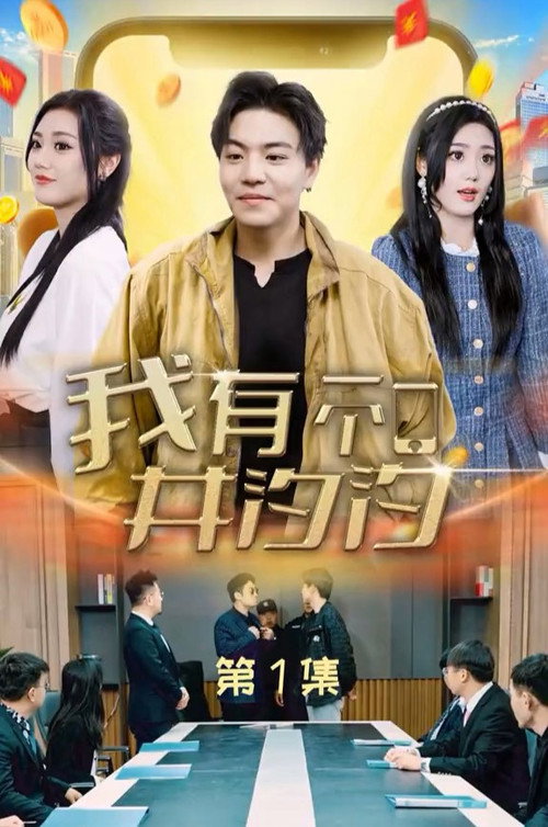 我有一个井汐汐 封面