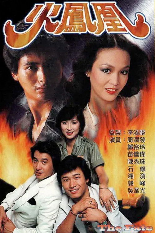 火凤凰 封面