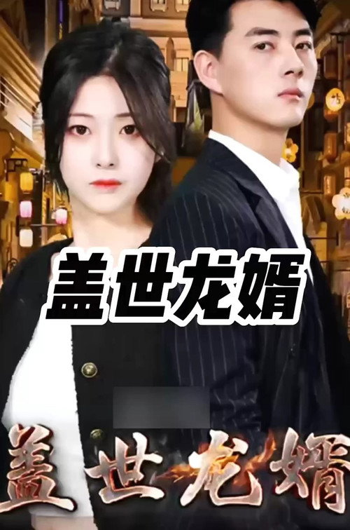 盖世龙婿 封面