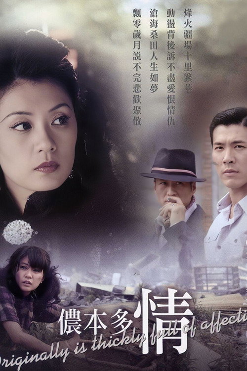 侬本多情 封面