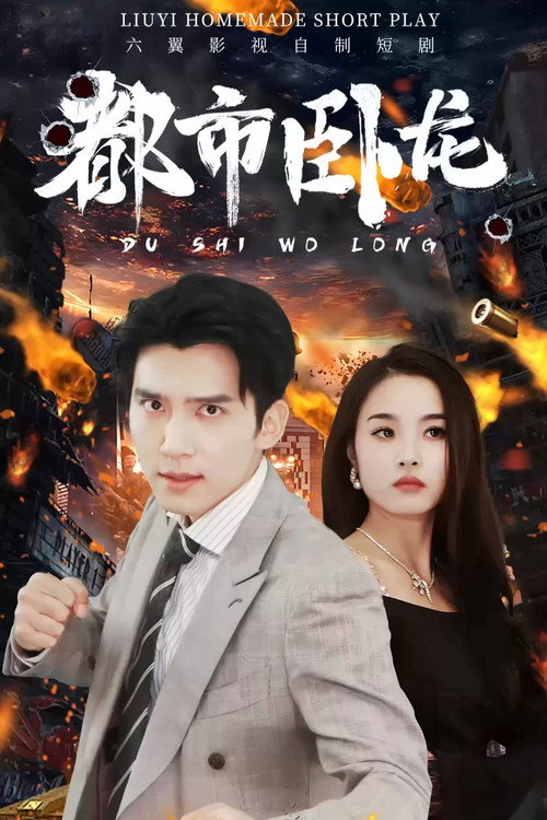 都市卧龙 封面