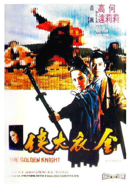 金衣大侠 封面