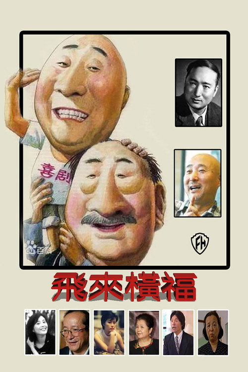 飞来横福 封面