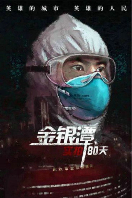 金银潭实拍80天 封面