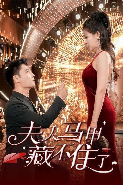 夫人马甲藏不住了 封面