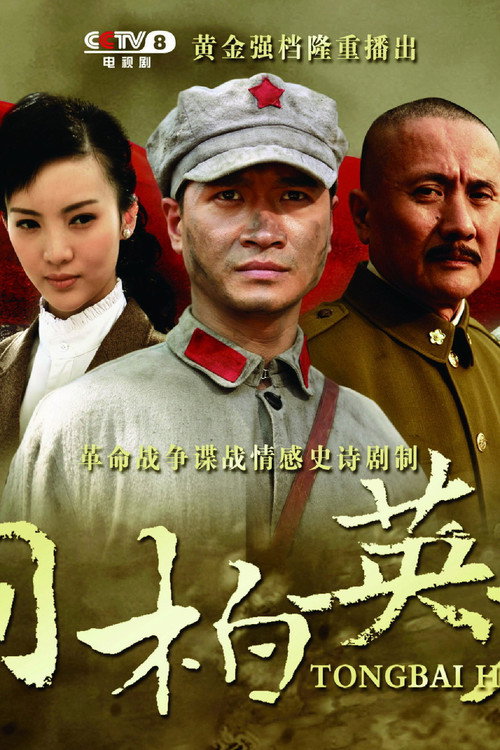 桐柏英雄 封面
