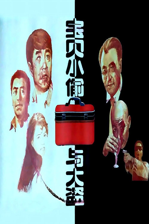 宝贝小偷与大盗 封面
