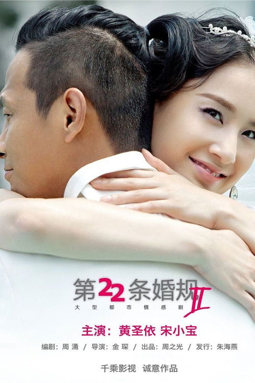 第22条婚规2 封面