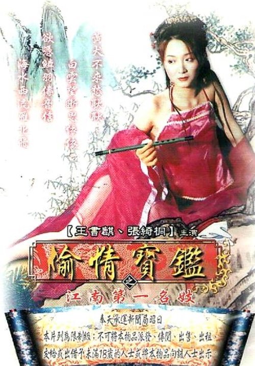 偷情宝鉴之江南第一名妓 封面