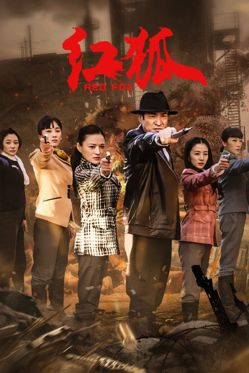 红狐 封面