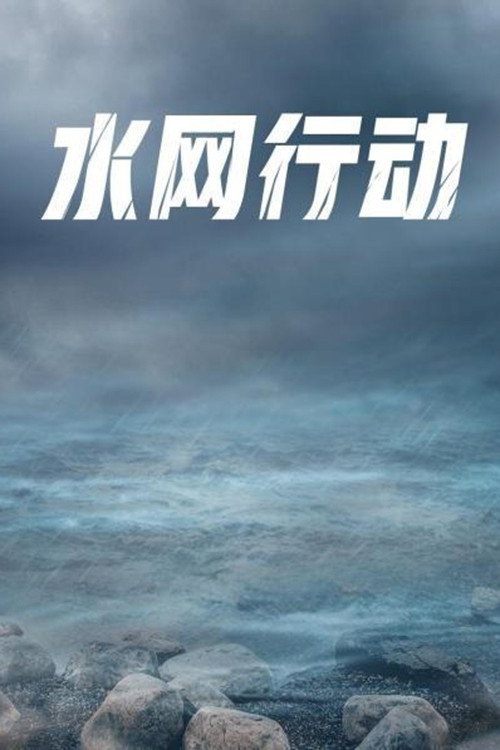 水网行动 封面