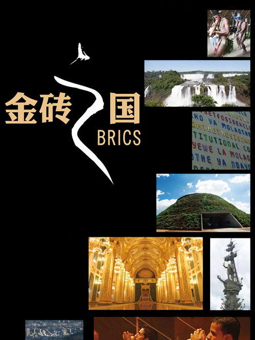 金砖之国 封面