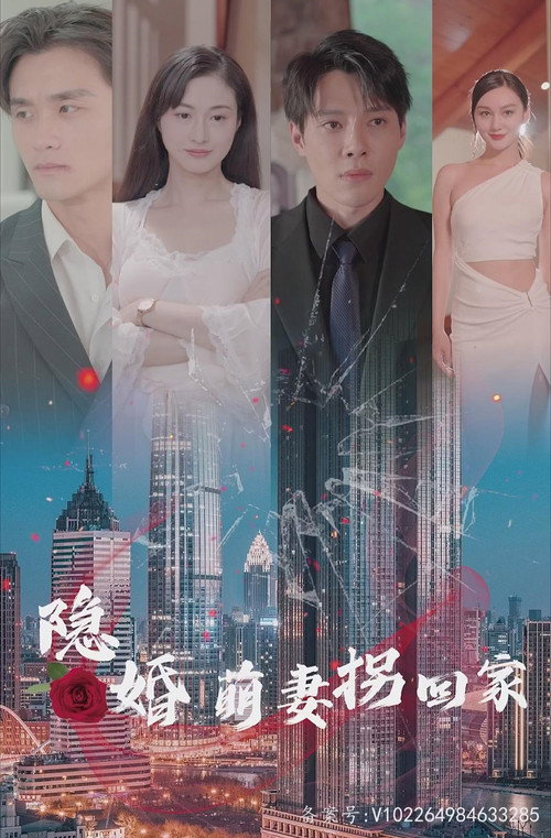 隐婚萌妻拐回家 封面