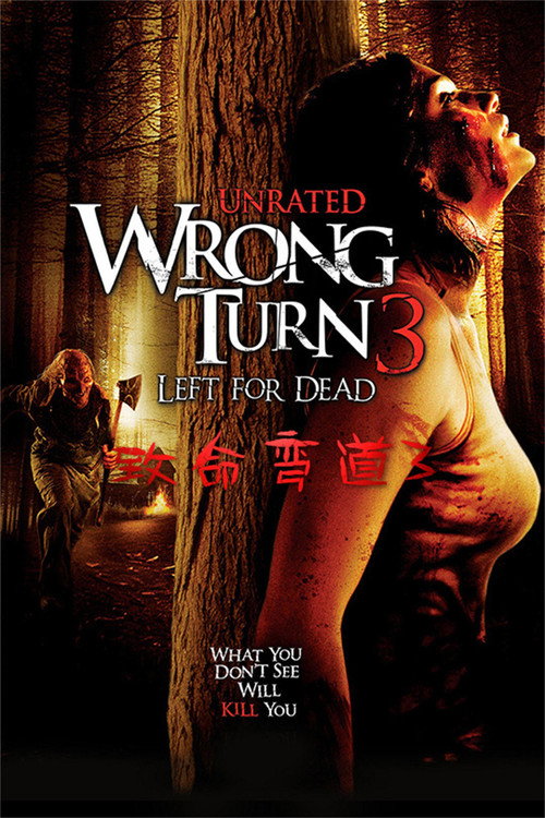 致命弯道3:离开即死 封面