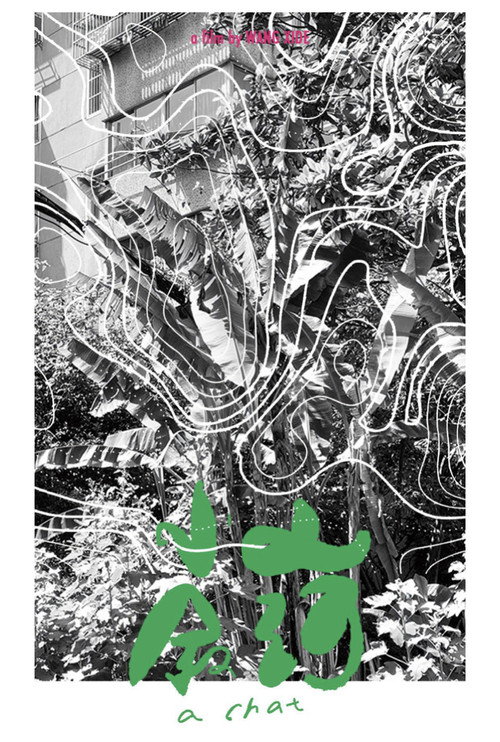 山河小叙 封面