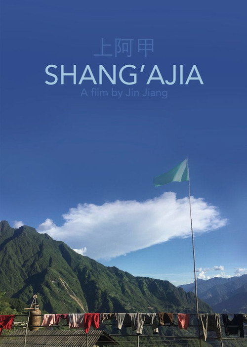 上阿甲 封面