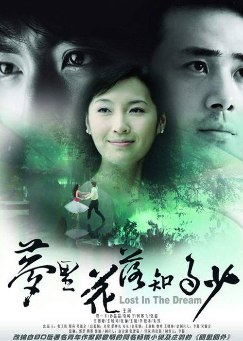 梦里花落知多少 封面