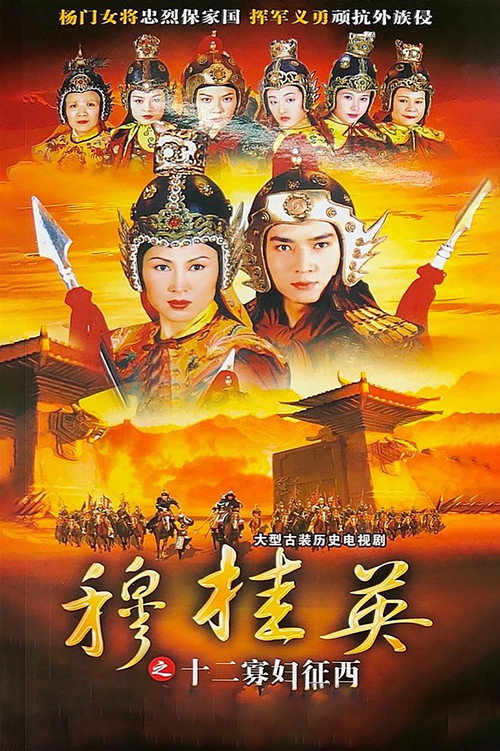 穆桂英之十二寡妇征西 封面