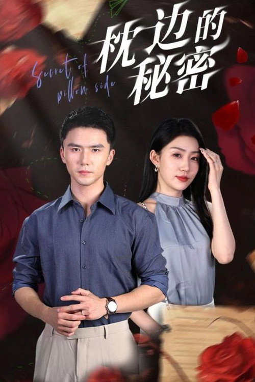 枕边的秘密 封面
