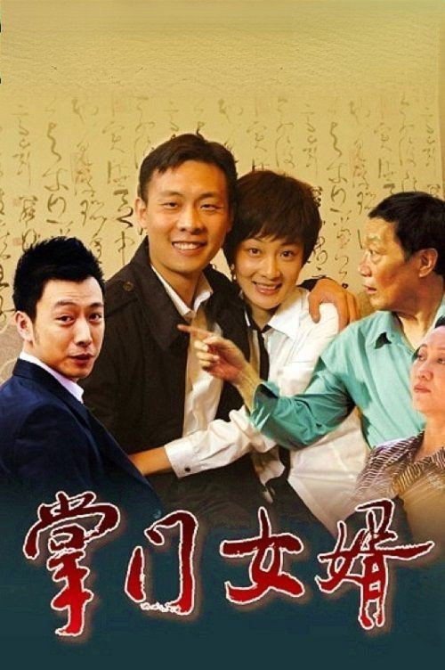 掌门女婿 封面