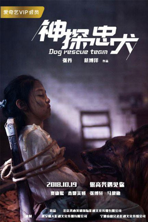 神探忠犬 封面