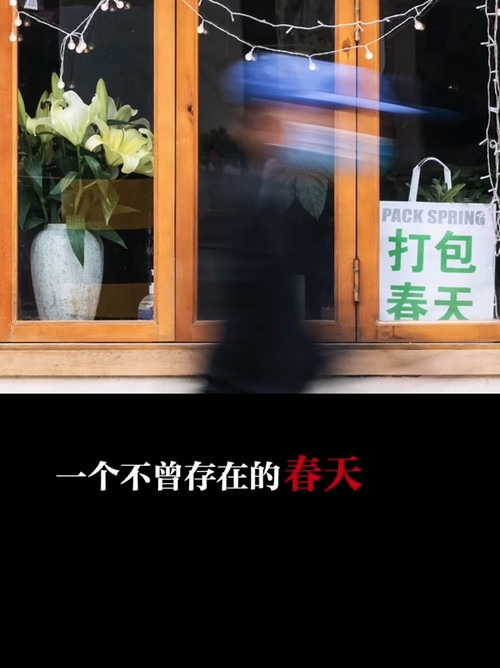 一个不曾存在的春天 封面
