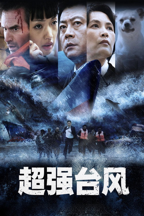 超强台风 封面