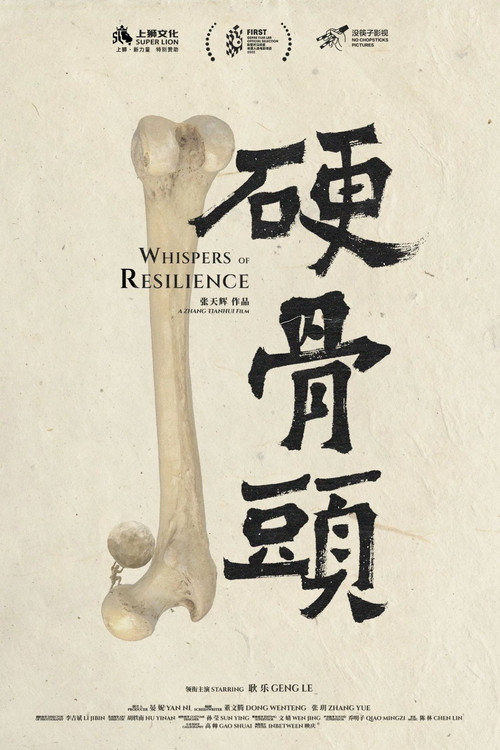 硬骨头 封面