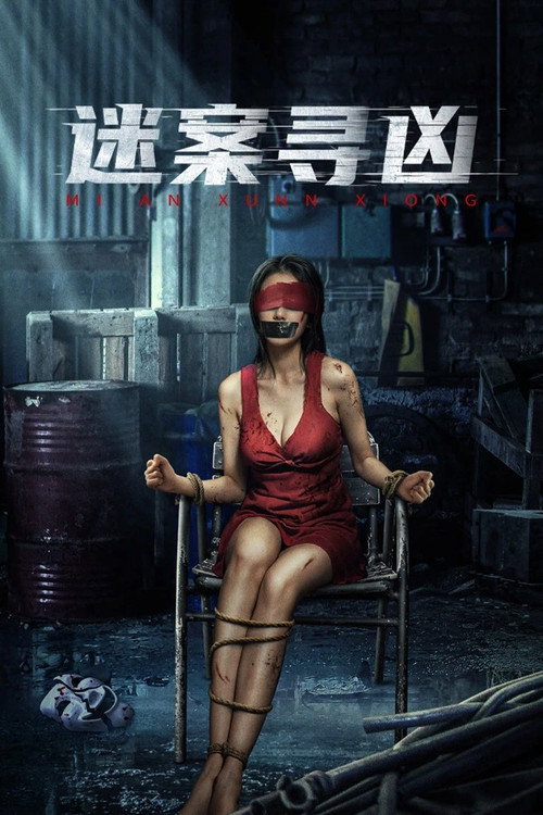 迷案寻凶 封面