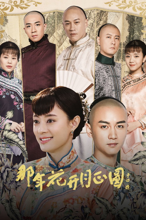 那年花开月正圆 封面