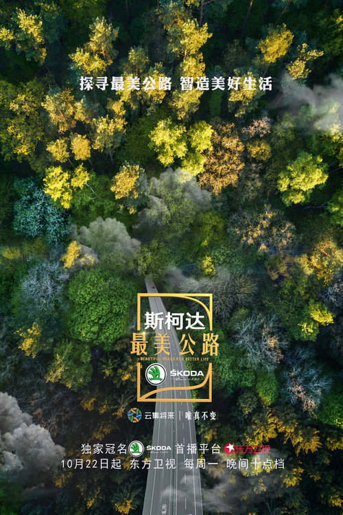 最美公路 封面