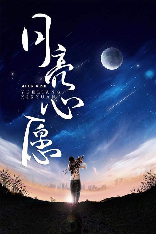 月亮心愿 封面
