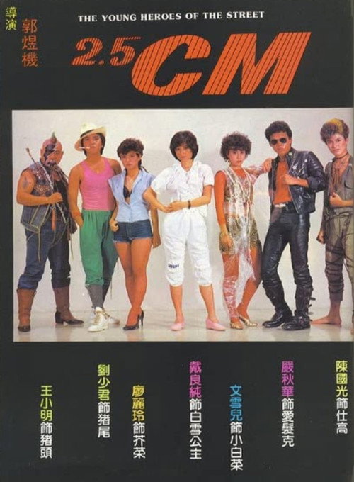 2.5 cm 封面