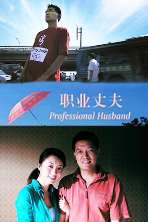 职业丈夫 封面