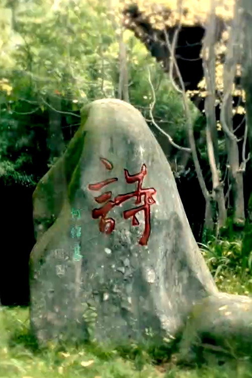 我辈岂是蓬蒿人 封面