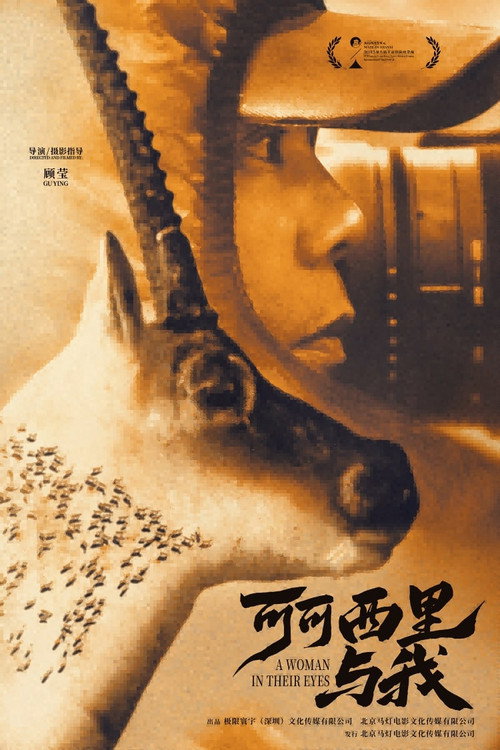 可可西里与我 封面