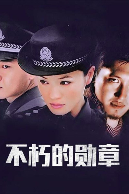 不朽的勋章 封面