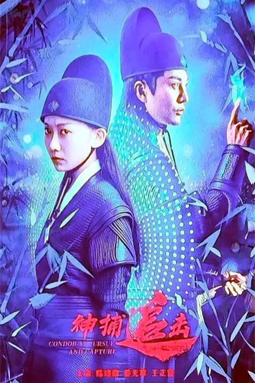 神捕追击 封面