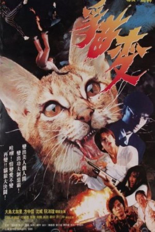 猫变 封面