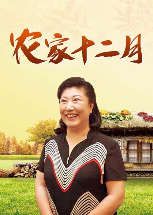 农家十二月 封面