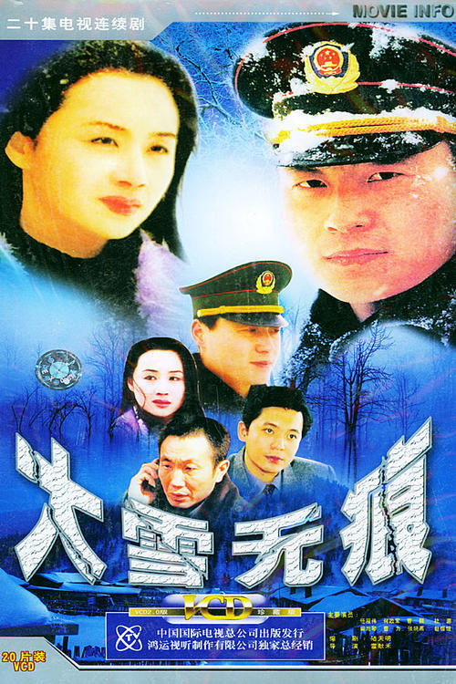 大雪无痕 封面