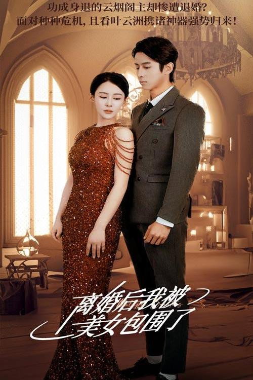 离婚后，我被美女包围了 封面