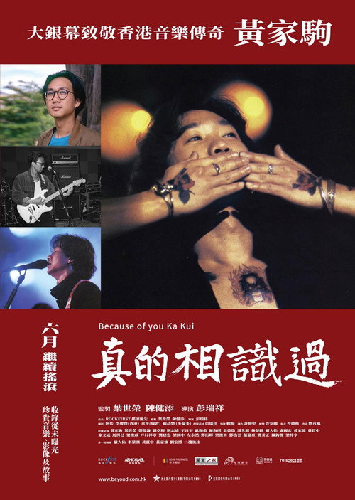 真的相識過 封面