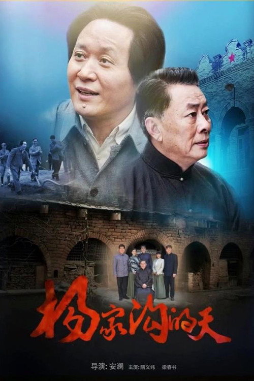 杨家沟的天 封面