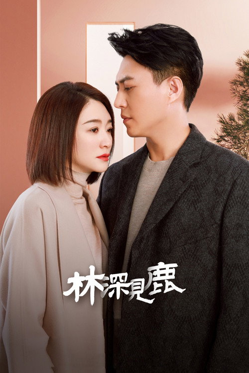 林深见鹿 封面