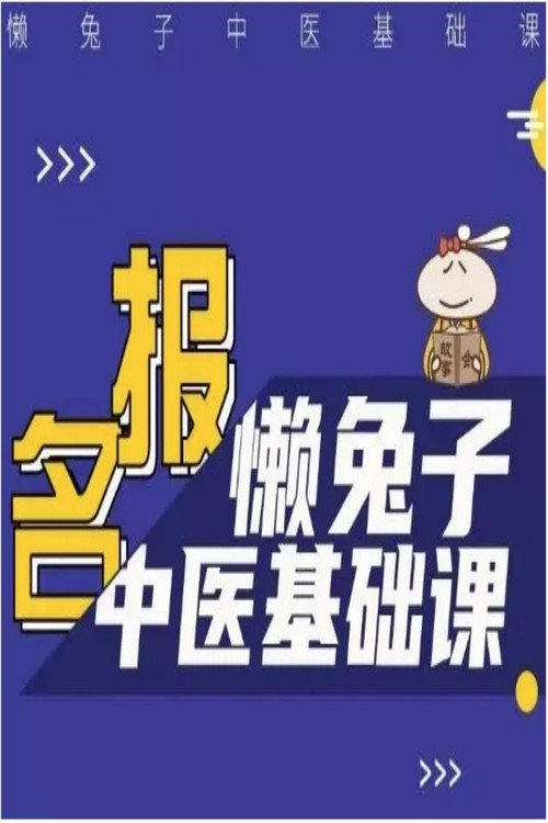 懒兔子中医基础课 封面