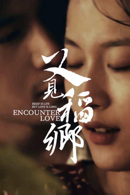 又见稻乡 封面