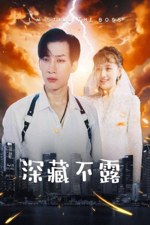 深藏不露 封面